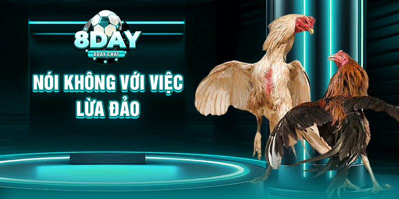 Nói không với việc lừa đảo